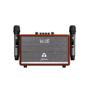 Home/Outdoor Wireless Karaoke Speaker AK815 with 2 Microphone