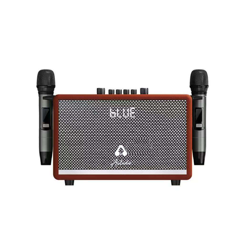 Home/Outdoor Wireless Karaoke Speaker AK815 with 2 Microphone