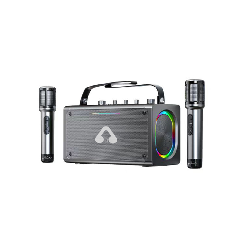 Wireless Portable Built-in Sound Card Professional Jungle Speaker K19 with Microphone