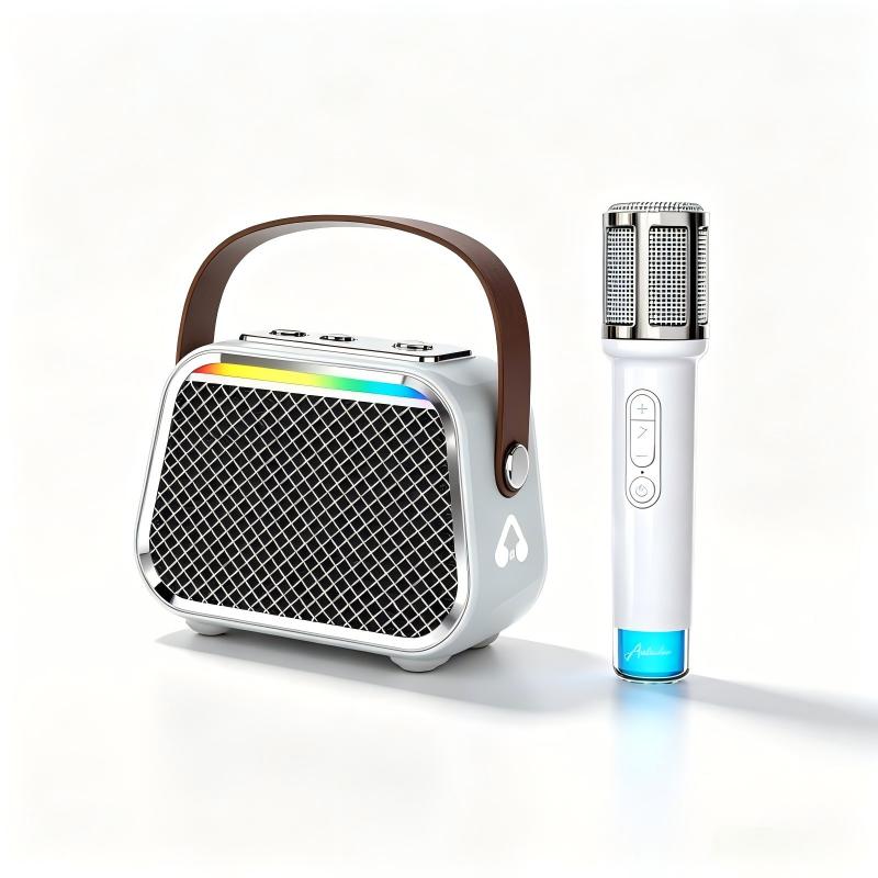 portable kids microphone speaker