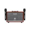Portable Karaoke Speaker