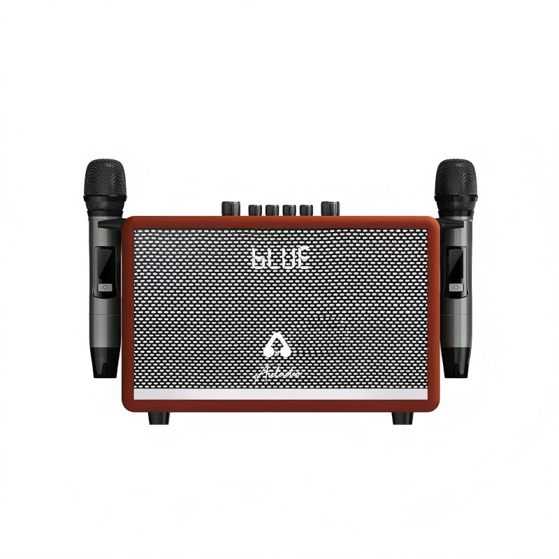 Portable Karaoke Speaker