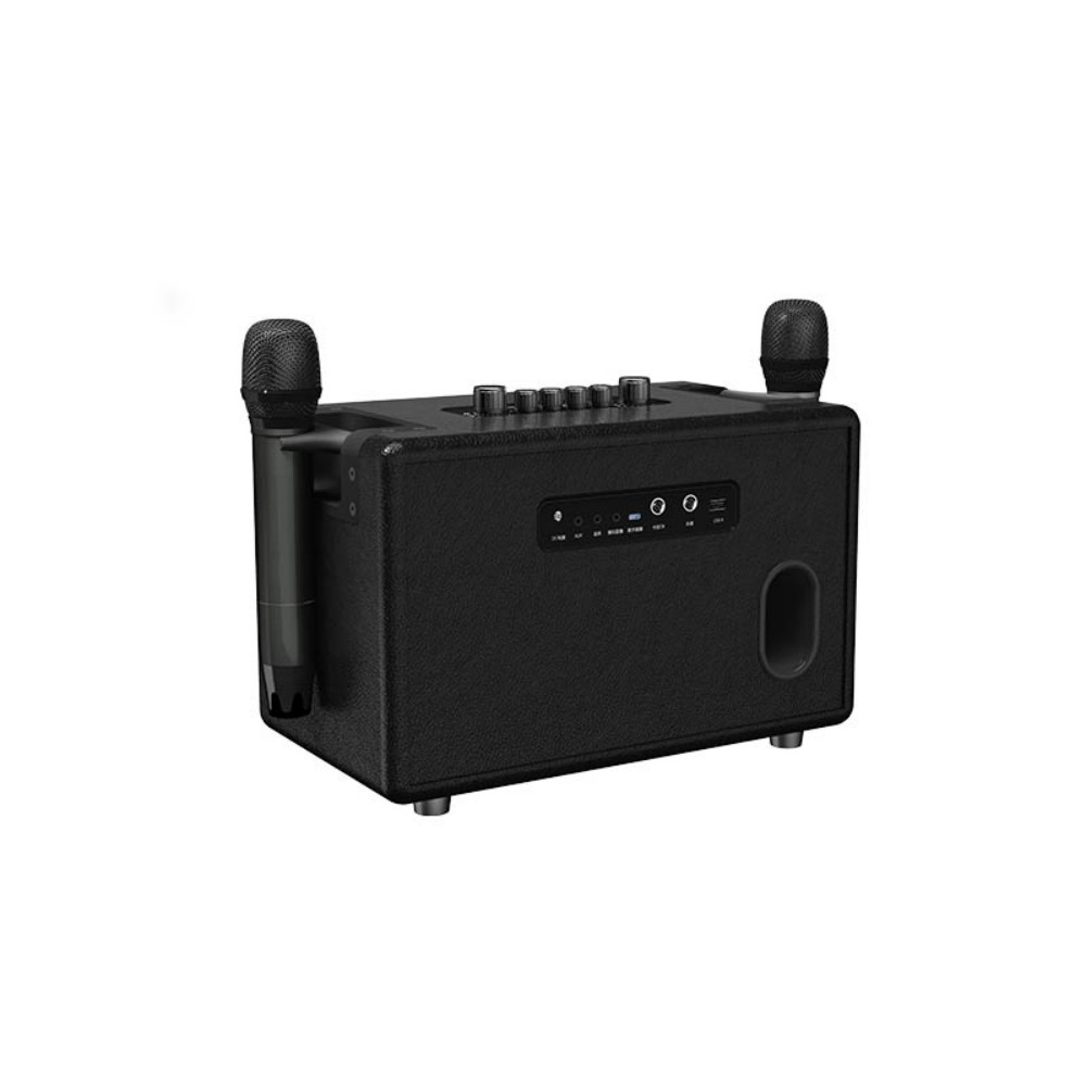  indoor and outdoor karaoke speaker