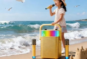 portable karaoke speaker